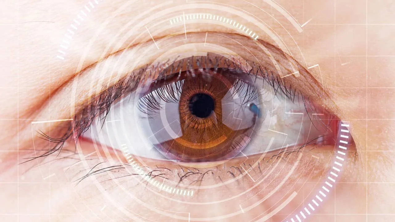 Structure of the lens of the eye