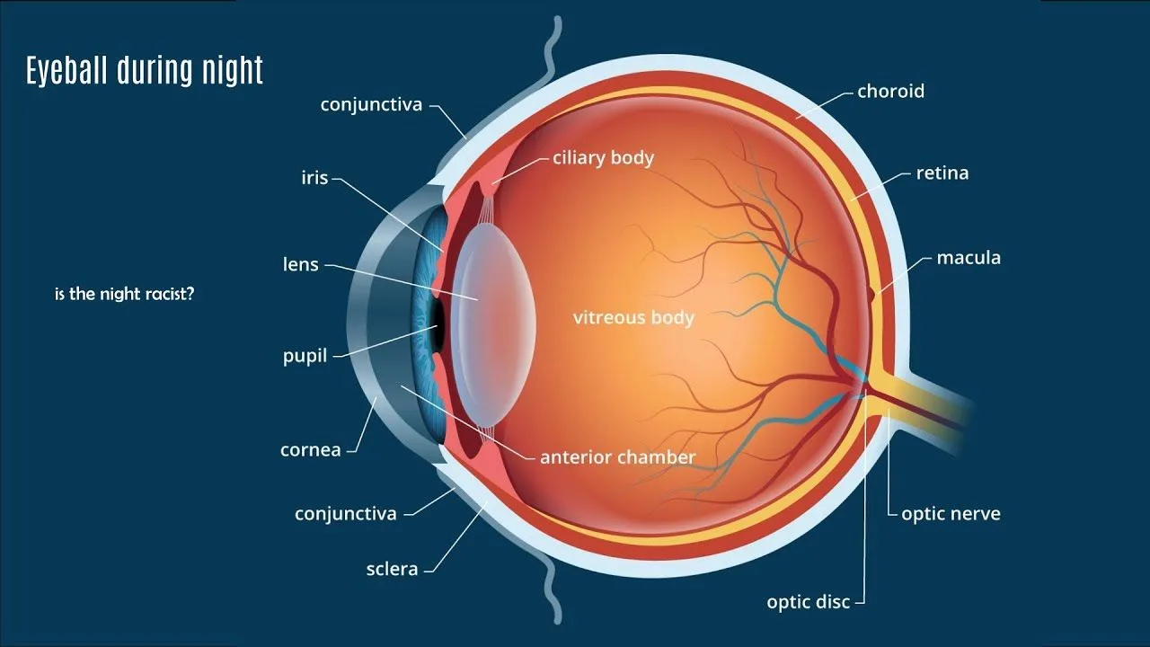 Retinal tear