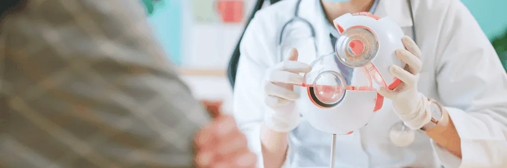Microcornea