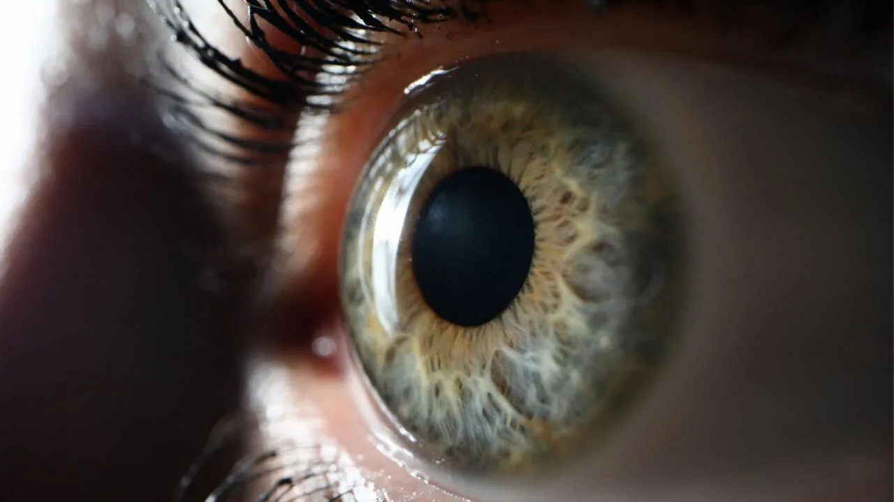 Night blindness