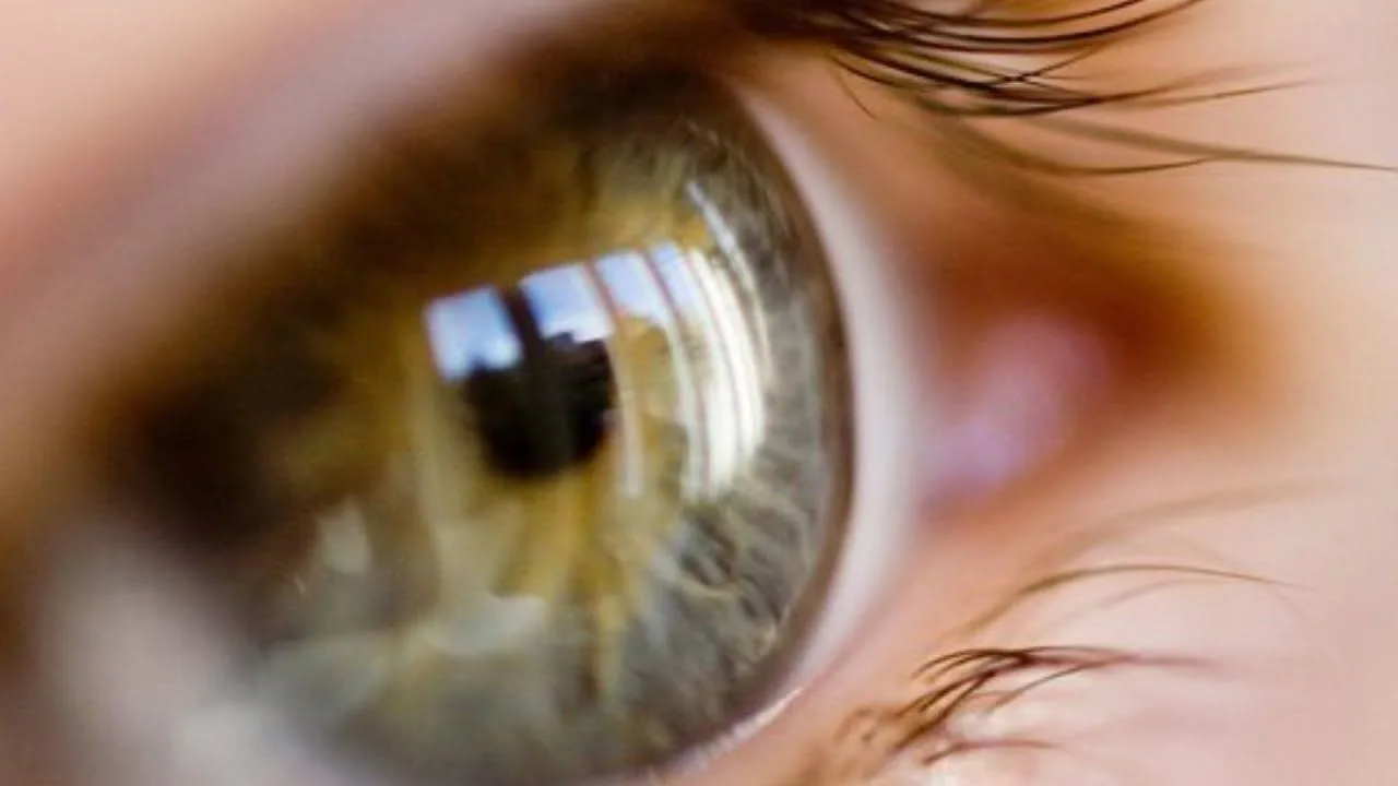 Wat is nachtblindheid?