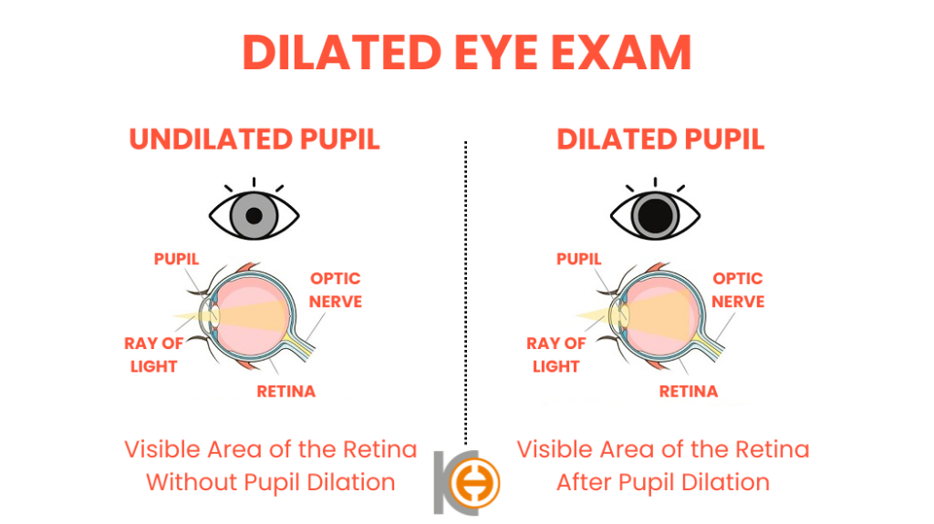 pupil dilate en
